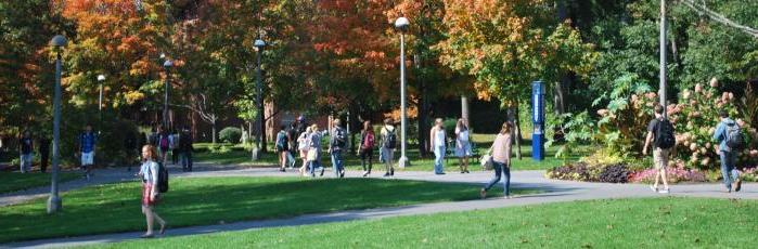 Fall on campus